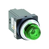 IDEC φ30 シリーズ パイロットライト LED照光 丸形 AC100/110V APN116DNG