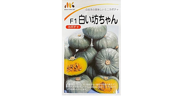 信頼 かぼちゃ 白い坊ちゃん 100粒 品種名 白坊 カボチャ 南瓜 ガーデニング 農業