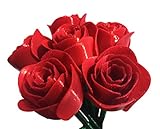 3d印刷Red Roses with stems