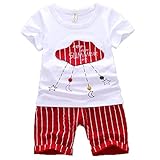 ハイキングフライ(Hikfly)ベビー服男の子女の子 赤ちゃん柔らかい綿ツーピース半袖 Tシャツ＆ショートパンツ セット (ストライプ) (XL/24-30 ヶ月, ピンク) (S /6-12ヶ月, 