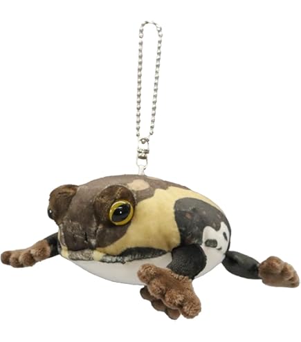 Amazon.co.jp: ティーエスティーアドバンス カメレオンのレオくん 6294