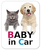 kmag 犬＆猫マグネット BABY in Car