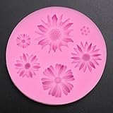 1次元シリコーン型のケーキ装飾花のまわりの自作型フォンダンショコラクッキーピンク