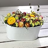 お花畑のお座りクマちゃん！ロマンティックなブリキバケツ入り　ドライフラワー　ギフト