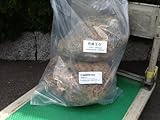 玉石φ200～φ300　由良川産（京都府北部）