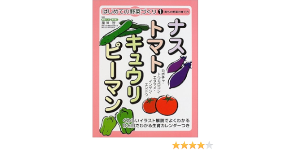ナス トマト キュウリ ピーマン 実もの野菜の育て方 はじめての野菜づくり 智 藤田 本 通販 Amazon