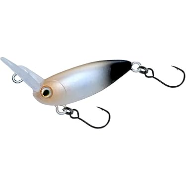 Amazon.co.jp 最新リリース: ワーム の新着ランキングです。