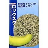 メロン 種 【 ロックスター 】 種子 小袋（約7粒）