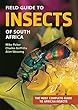 Field Guide to Insects of South Africa (Struik Nature Field Guides)