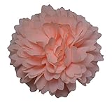 MANDY Chrysanthemum Peach