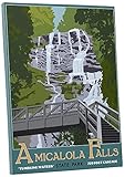 Pingo World " Steve Thomas Amicalola Falls State Park "ギャラリーWrappedキャンバスアート 20" x 16" 0209QEZ4R8G