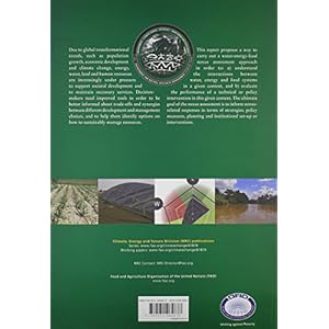 Walking the Nexus Talk: Assessing the Water-Energy-Food Nexus in the Context of the Sustainable Energy for All Initiative (Environment and Natural Res