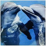 フローレンNature – Dolphin Play – タイル 6-Inch ct_8608_2