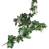 Luyue 【 観葉植物 アイビー 5本 】 壁掛け インテリア アンティーク 雑貨 造花 人工 フェイク 壁掛 グリーン 緑 植物 吊り 家庭やパーティ飾り (5本) (グリーン大根の葉)