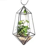 Geometric Terrarium ガラス ポリゴン ハング　長いダイヤモンド　壁掛け 幾何 ジオ　テラリウム 植木鉢 多肉植物 ミニ景観 盆栽 プランター モス 苔 コケ モストレ サボテン フ