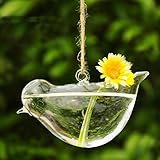 attachmenttou 水耕コンテナ DIYホームテーブルの結婚式の庭の装飾 植物ポットフラワーDIY ガラス花瓶ボトルハンギング クリア鳥の形