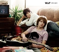 ���̓r�� / WaT