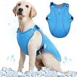 Kuoser犬用冷感ベスト クールベスト 夏用 ひんやりベスト 涼しい 冷却スーツ 熱中症対策 夏対策 虫対策 調節可能 着脱簡単 お出かけ お散歩 アウトドア服 ブルーL