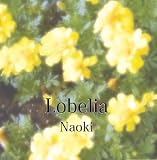 Lobelia