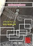 メタモルフォーゼ: 彼女が目覚める時・新　南海國サーガ３ 新南海国サーガ