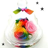 【Amazonプリザーブドフラワー新着ランキング１位】　【高級プリザーブドフラワーギフト】ハイブリットレインボーローズ×レインボーカーネーション×ピンクローズ　ガラス　プチドーム