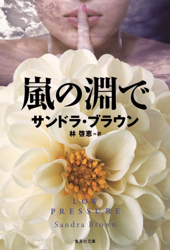 サンドラ・ブラウン:嵐の淵で (集英社文庫)