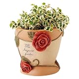レッドローズプランター 植木鉢 Φ12.5cm