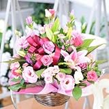 エーデルワイス 【ピンクリリー】 アレンジメント 大輪系 ユリ ピンク