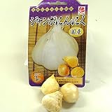 【球根・にんにく】 ジャンボにんにく 球根 3片