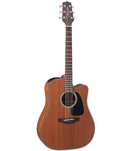 Amazon | Takamine G Series GD30CE-12 Dreadnought 12-String