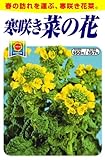 アタリヤ農園 ガーデニング用品 種 寒咲き 菜の花
