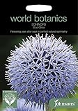 WB　英国ジョンソンズシード　Johnsons Seeds World Botanics Collection Echinops bannaticus Blue Glow エキノプス（ルリタマアザミ）