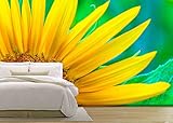 wall26 - 粘着壁紙 大きな壁画シリーズ 66"x96" WMR-WP-X-D253-66x24x4