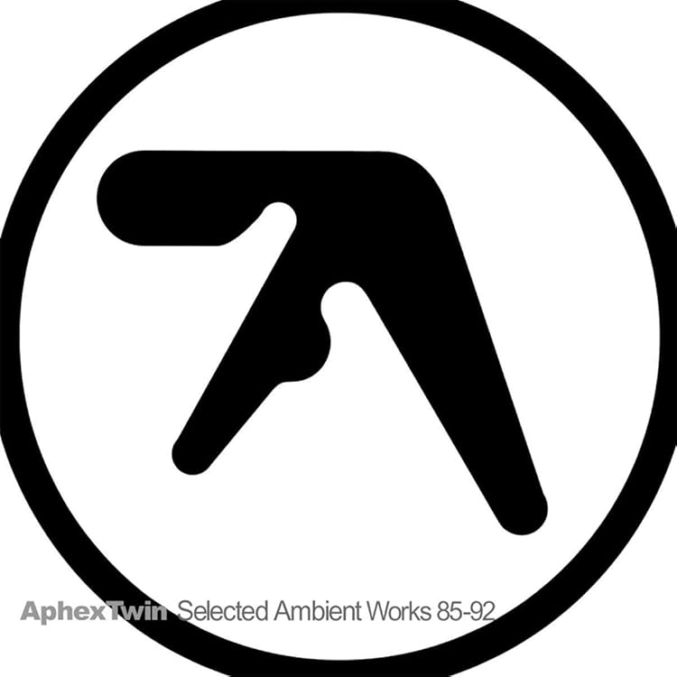 稀少盤Aphex Twin Drukqs専用保護ケース付 稀少盤Aphex Twin Drukqs専用保護ケース付 稀少盤Aphex Twin