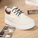 ファション　キャンパスシューズ　スニーカー　厚底　カジュアル　オリジナル　板鞋 (灰)