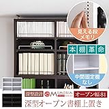 MEMORIA 棚板が1cmピッチで可動する 深型オープン上置き幅81