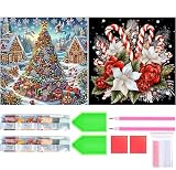 Amyaker ダイヤモンドアート キット 四角いビーズ クリスマス 2個セット ダイアモンドビーズ絵画キット DIY 手作り絵画 モザイクアート 5D モザイクアート ダイヤモンド塗装 全面貼り付けタイプ 30x30cm
