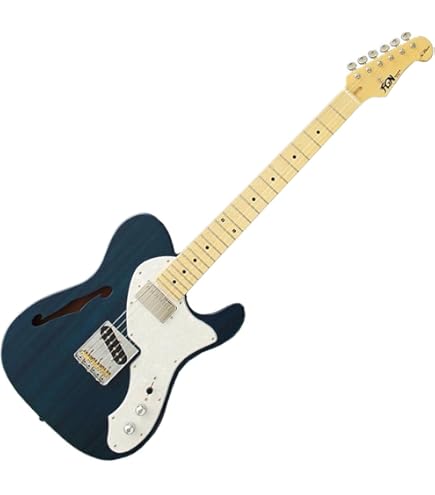 Amazon | FUJIGEN Neo Classic SERIES NTE110MMHT-NT/01 エレキギター