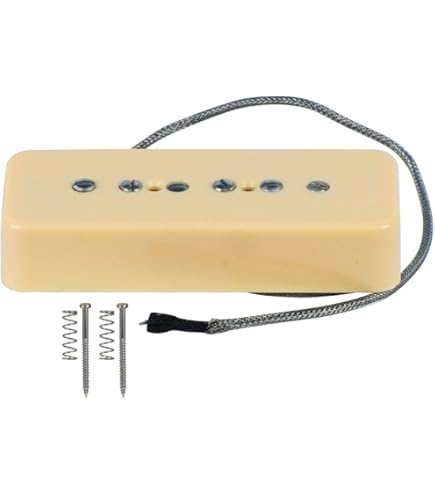 Amazon.co.jp: LINDY FRALIN (リンディーフレーリン) ギター用