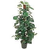 MAGIQ 東京堂 上質な造花 モンステラへゴ ZV007700
