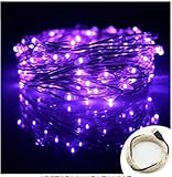 (イスイ)YISHUI USB式 LED イルミネーション ライト 銅線ワイヤーライト10m LED100 球電飾 飾り付け フェアリーライト (パープル)