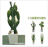 人工観葉植物 光触媒加工観葉植物 造花　ＨＧｈｇｂａｎｉ－60ｃｍｇｈ