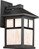 Forte Lighting 1873-01-04 Exterior Wall Light with Honey Glass Shades, Black [並行輸入品]