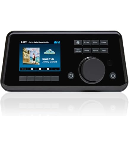 Amazon.co.jp: SONY ICF-RN933 FMラジオ : 家電＆カメラ