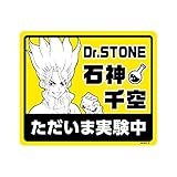 Ｄｒ．ＳＴＯＮＥ マグネットステッカー