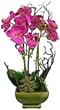 Nearly Natural 4990 Orchid and Succulent Arrangement