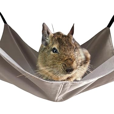 【644】小動物用シングルハンモックお布団付き【25×35】 Amazon.co.jp 売れ筋ランキング: 小動物ハンモック の中で最も