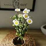 apsoosell人工菊ブーケ、8 Flowers Bunchあたり、5 Bunches 1パック ホワイト ARTFLOWER-White