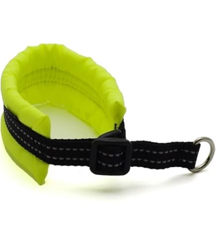 Amazon | コーチ 犬の首輪 COACH アウトレット シグネチャー