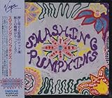 ���C�m�Z���X